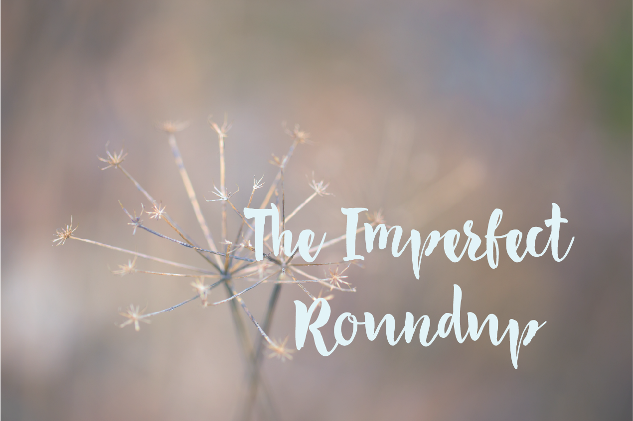 The Imperfect Roundup 18 The Imperfectionist
